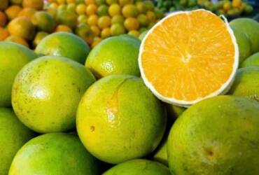 Laranja pera mantém estabilidade em abril, mas acumula forte queda anual