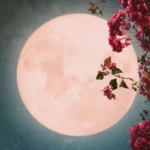 Lua hoje (05/05/2026): veja a fase lunar desta terça-feira