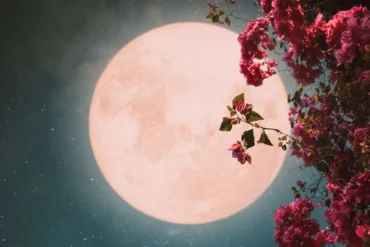 Qual a fase da Lua hoje? 05/05/2026
