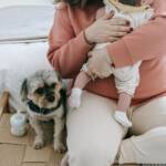 Maternidade multiespécie reacende discussão sobre o papel dos pets nas famílias