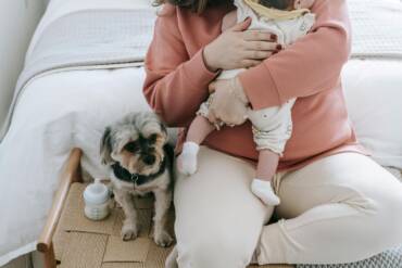 Maternidade multiespécie reacende discussão sobre o papel dos pets nas famílias   Pexels (2)