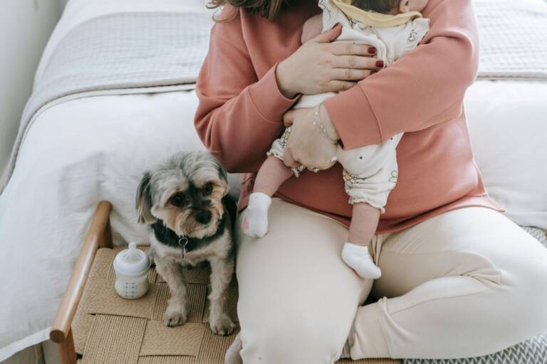 Maternidade multiespécie reacende discussão sobre o papel dos pets nas famílias   Pexels (2)