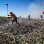 Mato Grosso lança plano de combate ao desmatamento e incêndios florestais para 2026