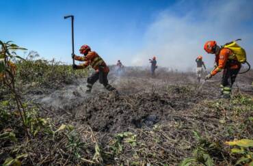 Mato Grosso lança plano de combate ao desmatamento e incêndios florestais para 2026