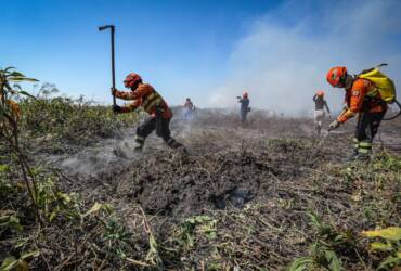 Mato Grosso lança plano de combate ao desmatamento e incêndios florestais para 2026