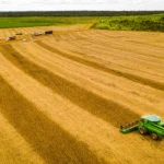 Mato Grosso mantém liderança na soja com safra recorde