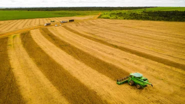 Mato Grosso mantém liderança na soja com safra recorde