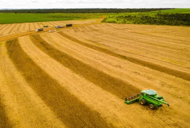 Mato Grosso mantém liderança na soja com safra recorde