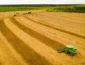 Como a ameaça do ‘Super El Niño’ pode redesenhar o calendário da safra em Mato Grosso?