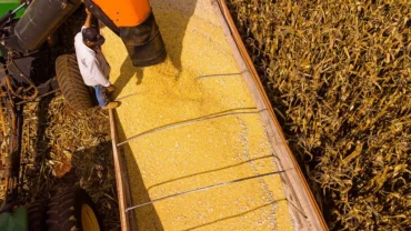 Mato Grosso lidera produção agropecuária com R$ 206 bi