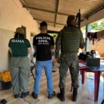 Operação Canto da Liberdade: Polícia e Ibama resgatam 25 aves silvestres de cativeiro ilegal em Nova Xavantina