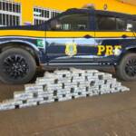 PRF apreende 60 tabletes de skunk escondidos em carga de madeira em Primavera do Leste