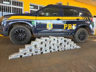PRF apreende 60 tabletes de skunk escondidos em carga de madeira em Primavera do Leste