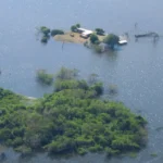 Pantanal registra recuperação parcial dos rios, mas cheia segue abaixo da média histórica