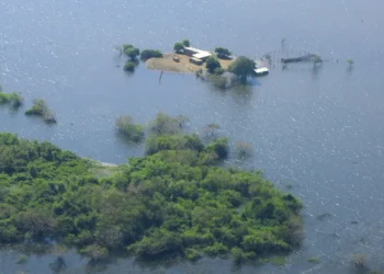 Pantanal registra recuperação parcial dos rios, mas cheia segue abaixo da média histórica