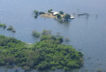 Pantanal registra recuperação parcial dos rios, mas cheia segue abaixo da média histórica