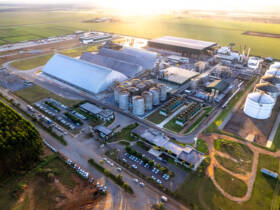 Negócio aprovado pelo Cade une duas gigantes do agronegócio com raízes em Mato Grosso e reforça investimentos no etanol de milho, logística e industrialização.