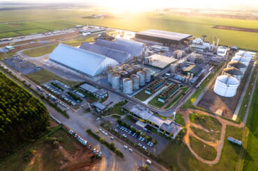 Planta FS_MT