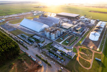 Planta FS_MT