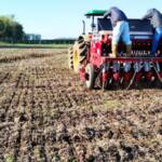 Plantio de trigo avança lentamente no Sul e preços sobem com preferência pelo produto nacional