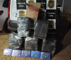 Polícia Civil apreende 178 tabletes de maconha em Rondonópolis