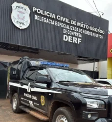 Operação Vestigia investiga roubo de gado em Confresa