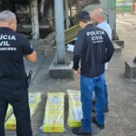 Polícia Civil incinera 109 quilos de maconha em Alto Araguaia após autorização judicial
