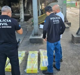 Maconha incinerada em Alto Araguaia: Polícia Civil destrói 109 kg