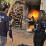 Polícia Civil incinera 74 quilos de cocaína, maconha e skank em Barra do Garças