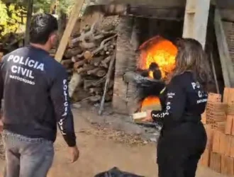 Polícia Civil incinera 74 quilos de drogas em Barra do Garças