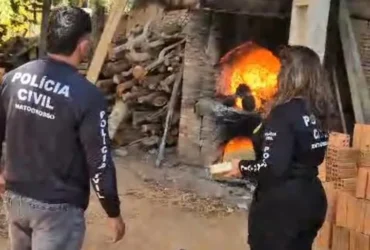 Polícia Civil incinera 74 quilos de drogas em Barra do Garças