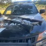 Operação Libertas: Polícia Civil resgata mulher de cárcere privado na zona rural de Guarantã do Norte