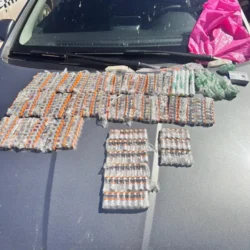Contrabando de Mounjaro gera apreensão de R$ 300 mil em MT