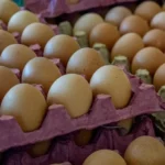 Preço dos ovos reage em maio com alta de até 10% e melhora na demanda