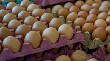 Preço dos ovos reage em maio com alta de até 10% e melhora na demanda