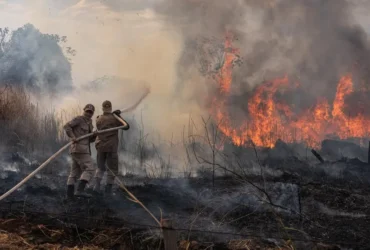 Produtores rurais reforçam ações preventivas contra incêndios florestais em Mato Grosso durante período de estiagem