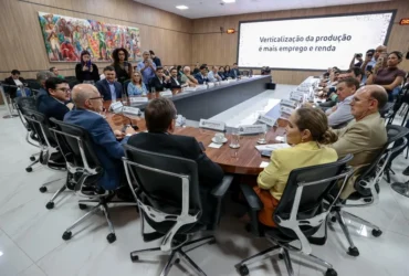 Programa de Verticalização da Indústria Têxtil de Mato Grosso: MT lança incentivo ao algodão