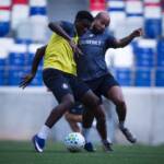 Remo x Palmeiras: onde assistir ao vivo, escalações e tudo sobre o jogo do Brasileirão 2026
