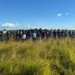 Recuperação de pastagens aumenta produtividade e captura carbono em Mato Grosso, comprova projeto Pasto Forte