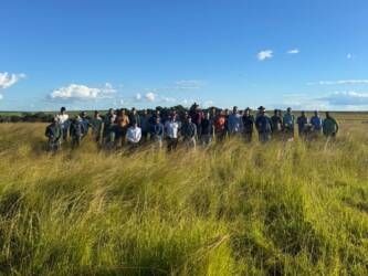 Recuperação de pastagens aumenta produtividade e captura carbono em Mato Grosso, comprova projeto Pasto Forte