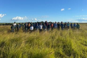 Recuperação de pastagens aumenta produtividade e captura carbono em Mato Grosso, comprova projeto Pasto Forte