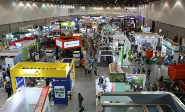 Sebrae