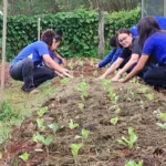Projeto Hortas Escolares vai atender 286 escolas de Mato Grosso