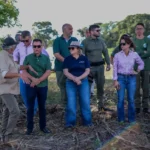 Pantanal entra em revisão após fiscalização da Sema