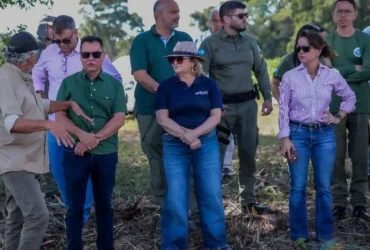 Pantanal entra em revisão após fiscalização da Sema
