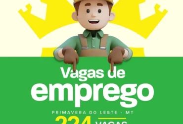 Sistema Nacional de Emprego