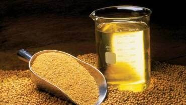 Soja e biodiesel avançam no PIB, mas preços pressionam renda da cadeia em 2025