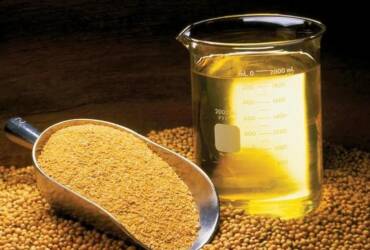 Soja e biodiesel avançam no PIB, mas preços pressionam renda da cadeia em 2025