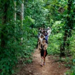 Pontão de Cultura abre inscrições para palestra gratuita sobre sustentabilidade e metas da ONU em Mato Grosso