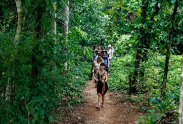 Sustentabilidade em Pontos de Cultura de MT pauta palestra online